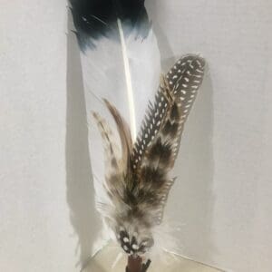 Buckshot Feather Hat Clip